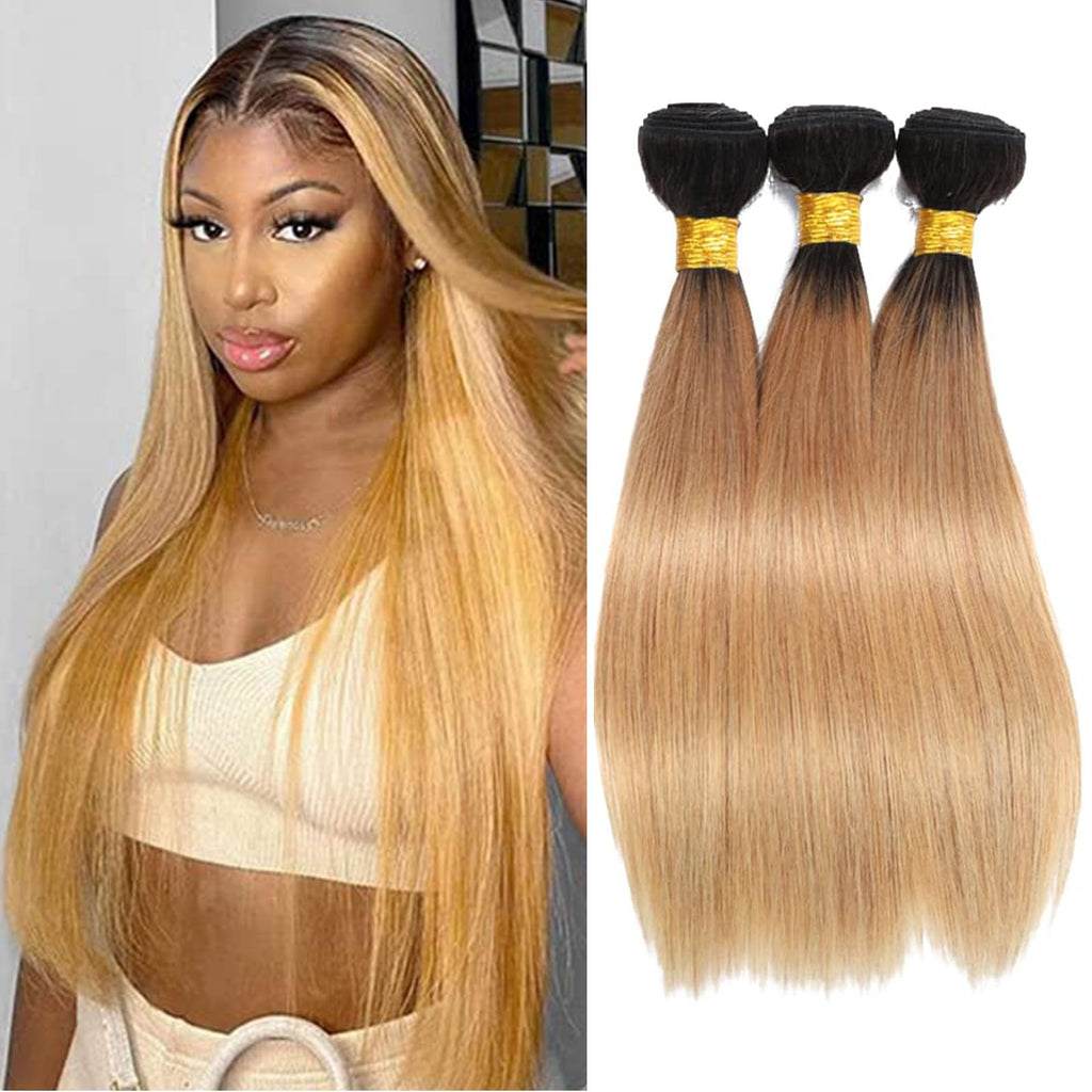 1B/27 Straight Ombre Hair Bundles 24 26 28 Inch